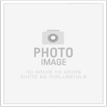 從六合彩討論區學贏錢公式，飛達娛樂城熱門遊戲推薦全解析